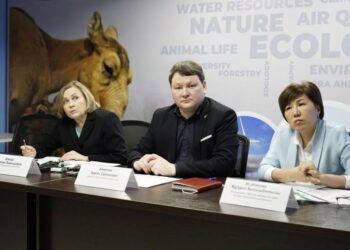 Су тасқыны қаупі жоғары өңірлер аталды