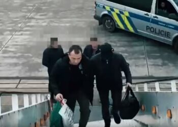 Чехиядан аса ірі көлемде алаяқтық жасаған күдікті экстрадицияланды