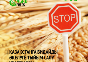 Қазақстанға бидайды әкелуге тыйым салу ұзартылды