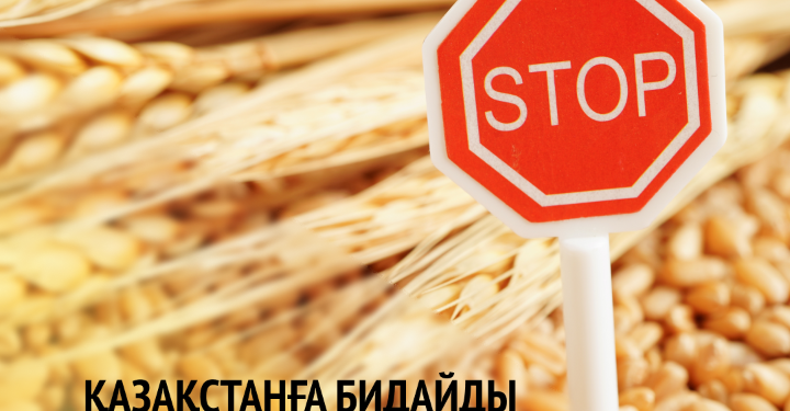 Қазақстанға бидайды әкелуге тыйым салу ұзартылды