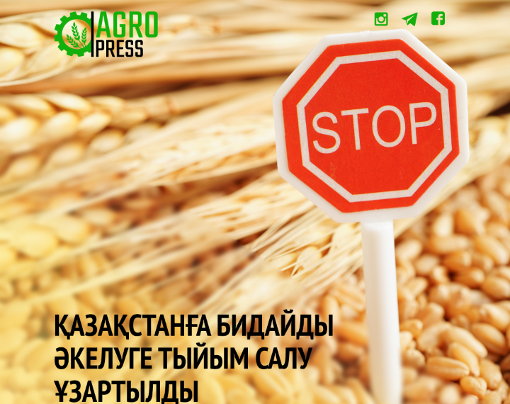 Қазақстанға бидайды әкелуге тыйым салу ұзартылды