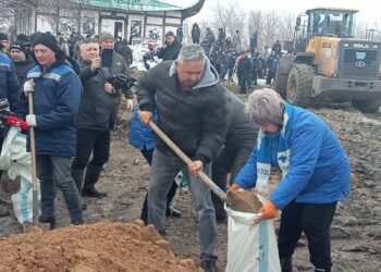 Су тасқыны. Депутаттар жағдай тұрақталғанша апатты аймақтарда болады