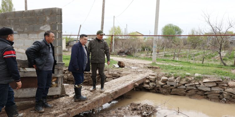 Ербол Қарашөкеев Жасөркен ауылындағы көшелер мен аулалардың жағдайын тексерді