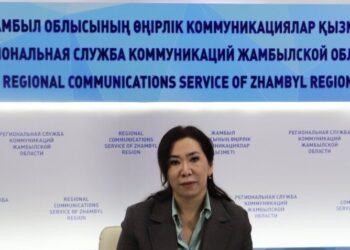 Биыл жамбылдықтар VIP-нөмірлерге қанша қаражат жұмсады