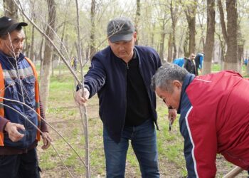 «Таза Қазақстан». Жамбылдықтар экологиялық акцияға атсалысты