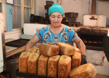 Ауыл аманаты: Облыста биыл 1700-ге жуық жұмыс орны құрылады