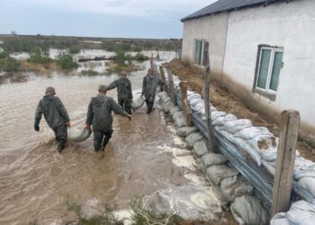 Су тасқынының салдарын жою. Сандар сөйлесін