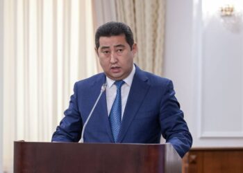 АШМ: Биыл 23,8 млн гектар егіс алқабы игеріледі