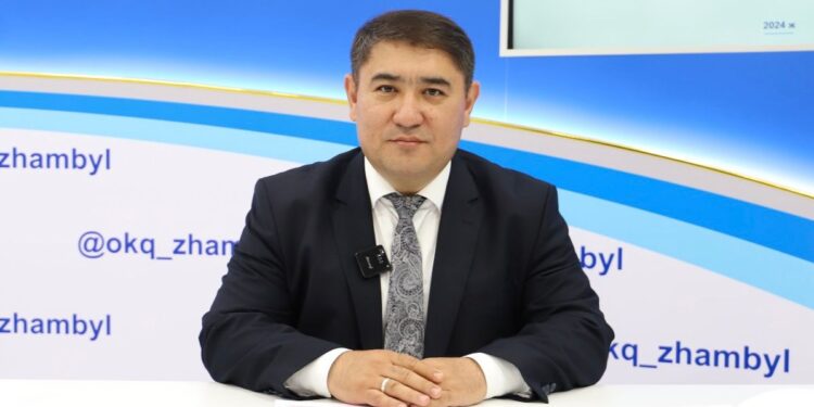 Шу ауданында 20 мың гектар жайылымдық жер жетіспейді