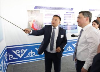 Үкімет басшысы Кіші Аралдың жағдайына қатысты бірқатар тапсырма берді