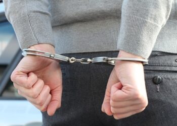 50 млн теңге субсидия жымқырған кооператив төрағасы сотталды