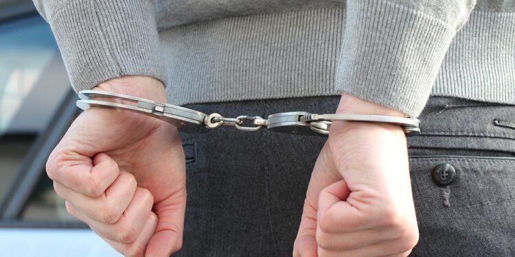 50 млн теңге субсидия жымқырған кооператив төрағасы сотталды