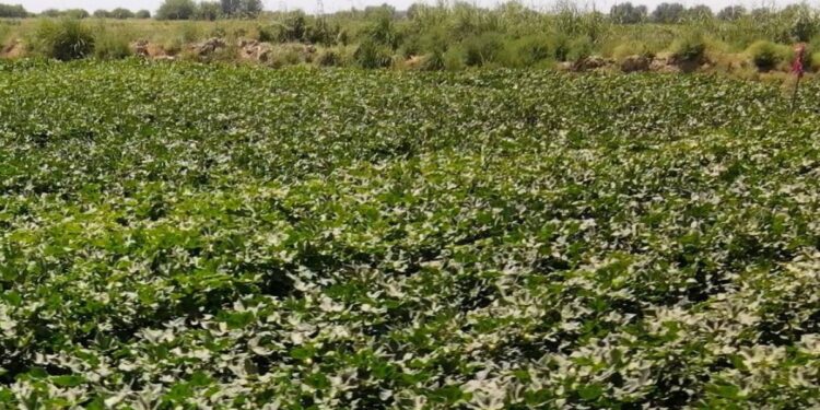Еліміздің шаруаларына 4,8 млрд текше метр су берілді