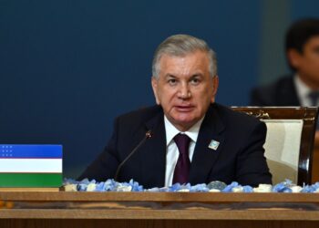 Өзбекстан президенті елімізге мемлекеттік сапармен келеді