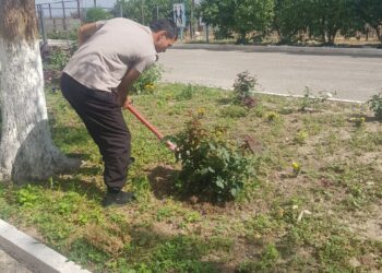 Тазалық жұмыстарын жүргізді