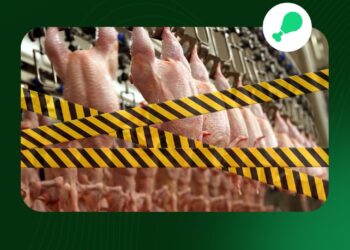 Қазақстан аумағына заңсыз әкелінген 25 мың келіден аса құс еті жойылды