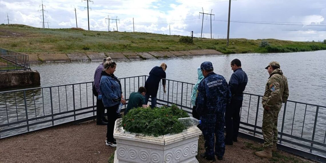 Сәтбаев атындағы арнада балықтардың қырылып жатқаны рас па?