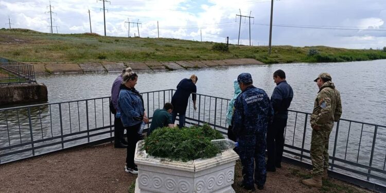 Сәтбаев атындағы арнада балықтардың қырылып жатқаны рас па?