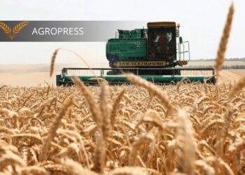 Қазақстанда 2,4 млн тоннаға жуық астық бастырылды