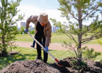 Бұдан былай елімізде жыл сайын 3 млн ағаш егіледі