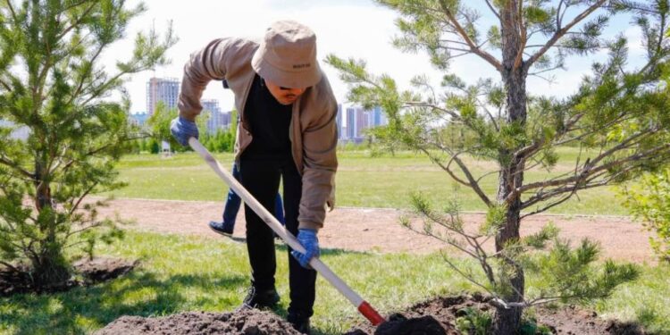 Бұдан былай елімізде жыл сайын 3 млн ағаш егіледі