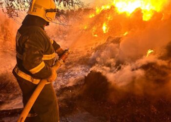 Сарысу ауданында 170 орам шөп өртеніп кетті