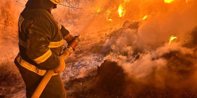 Сарысу ауданында 170 орам шөп өртеніп кетті