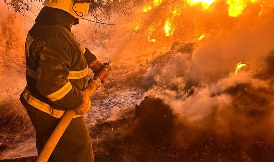 Сарысу ауданында 170 орам шөп өртеніп кетті
