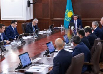 2025 жылдан бастап шаруалар қаржы институттарынан тікелей арзандатылған несие ала алады