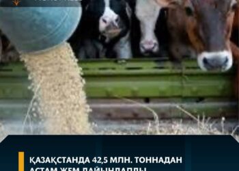 Елімізде 42,5 млн тоннадан астам жем дайындалды