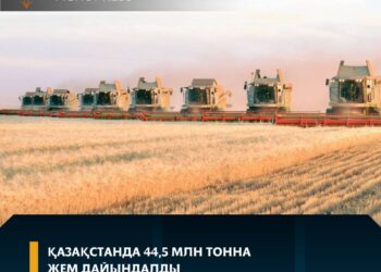 Қазақстанда 44,5 млн тонна жем дайындалды