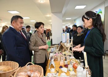Ауыл аманаты. Дүйсенова Ақмолада жобаның іске асырылуын тексерді