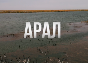 Аралға су жіберу жоспары 100%-ға жуық орындалды