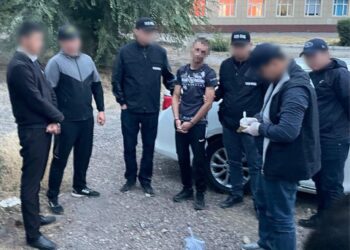 Екі ауданда 102 келі марихуана өткізбек болған 3 адам қамауға алынды