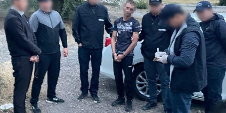 Екі ауданда 102 келі марихуана өткізбек болған 3 адам қамауға алынды