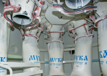 Меркіде ұн зауытын салмақ болған инвестордың құқығы қорғалды