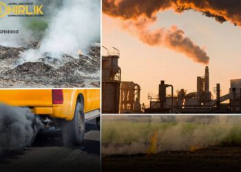 Экология департаменті өңірде 75 заң бұзушылықты анықтады