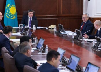 Бектенов жерде сирек кездесетін металдар саласын дамыту жөнінде кеңес өткізді