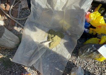 Байзақ тұрғынынан 15 келіден аса марихуана тәркіленді