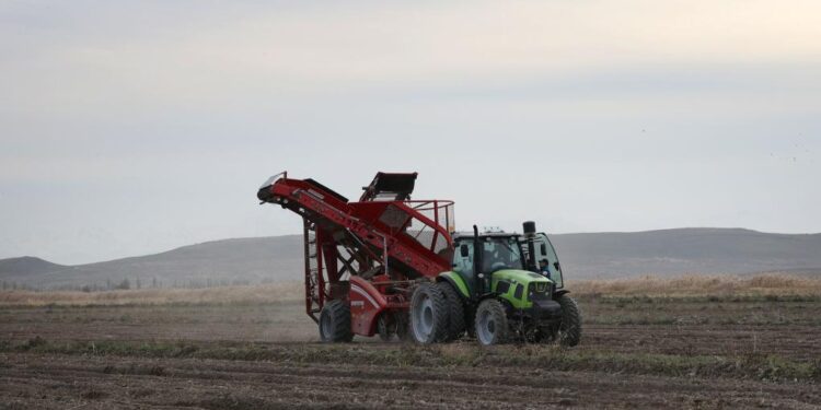 Жамбылдық диқандар ауыл шаруашылығы өнімдерінің экспортын 2,5 есеге арттырды