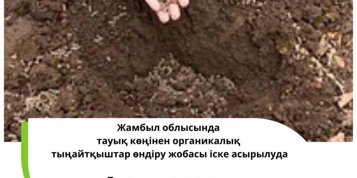 Облыста тауық көңінен тыңайтқыштар өндіріледі