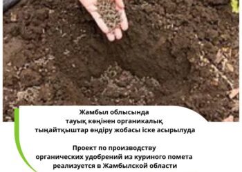 Облыста тауық көңінен тыңайтқыштар өндіріледі