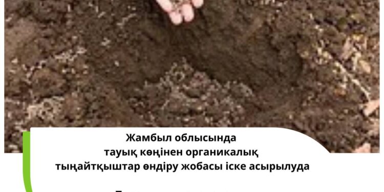 Облыста тауық көңінен тыңайтқыштар өндіріледі