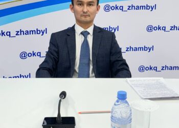 Азаматтарға арналған үкімет. Облыста 1 жылда қанша қызмет көрсетілді