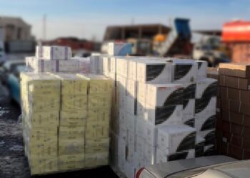 ҰҚК Жамбылда темекі бұйымдарын заңсыз әкелудің жолын кесті