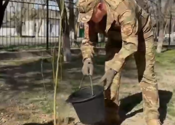 ағаш отырғызу