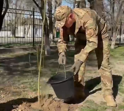 ағаш отырғызу