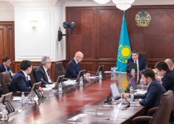 Үкіметте экономиканы ырықтандыру және жекешелендірудің қарқыны мәселелері қаралды