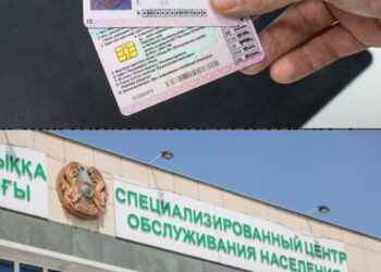 Таразда жүргізуші куәліктерін заңсыз сатқан 7 адам сотталды