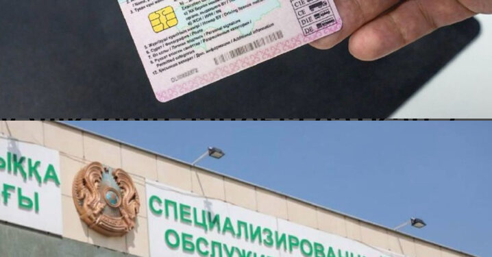 Таразда жүргізуші куәліктерін заңсыз сатқан 7 адам сотталды